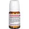 SOLIDAGO VIRGAUREA D 3 tabletas, 80 piezas