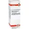 SABAL SERRULATUM Dilución D 1, 20 ml
