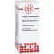 SABAL SERRULATUM Dilución D 1, 20 ml