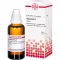 HAMAMELIS Tintura madre, 50 ml