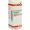 PETROSELINUM Dilución D 6, 20 ml