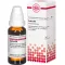 CACTUS Dilución D 6, 20 ml