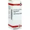 AVENA SATIVA Tintura madre, 20 ml