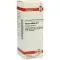 VISCUM ALBUM Dilución D 6, 20 ml