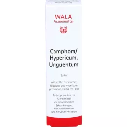 CAMPHORA/HYPERICUM Unguentum, 30 g