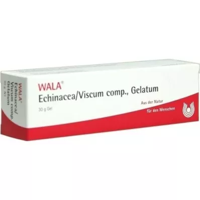 ECHINACEA/VISCUM comp.Gelatum, 30 g
