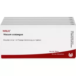 VISCUM CRATAEGUS Ampollas, 50X1 ml