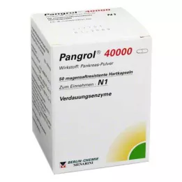PANGROL 40.000 cápsulas duras con recubrimiento entérico, 50 unidades