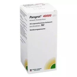 PANGROL 40.000 cápsulas duras con recubrimiento entérico, 100 unidades