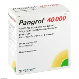 PANGROL 40.000 cápsulas duras con recubrimiento entérico, 200 unidades