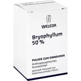 BRYOPHYLLUM 50% Polvo oral, 20 g