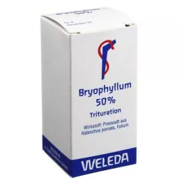 BRYOPHYLLUM 50% Polvo oral, 20 g