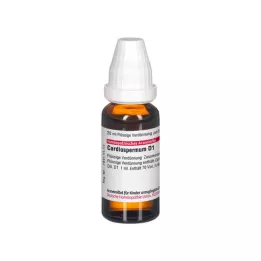 CARDIOSPERMUM D 1 Dilución, 20 ml