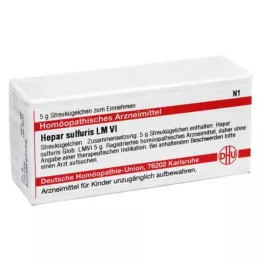 HEPAR SULFURIS LM VI Glóbulos, 5 g