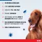BOLFO Banda antipulgas marrón para perros grandes, 1 ud