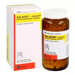 KALINOR retard P 600 mg cápsulas duras, 100 uds