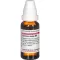 CURCUMA LONGA Dilución D 4, 20 ml