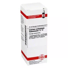 CALCIUM CARBONICUM Hahnemanni D 12 Dilución, 20 ml