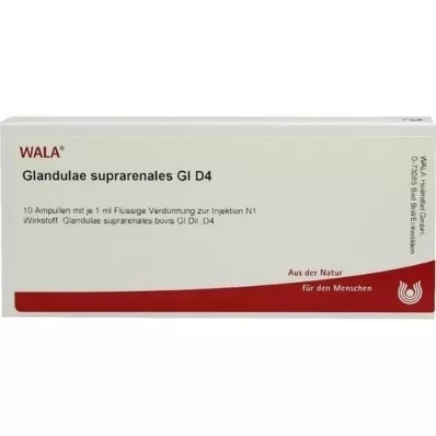GLANDULAE SUPRARENALES GL D 4 Ampollas, 10X1 ml
