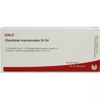 Glandulae suprarenalis GL D 4 ampollas, 10X1 ml
