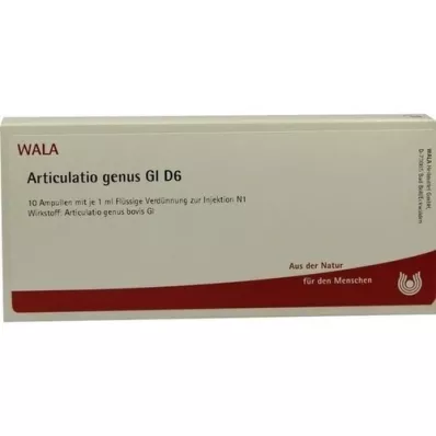 ARTICULATIO género GL D 6 ampollas, 10X1 ml