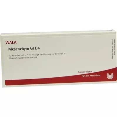 MESENCHYM GL D 4 Ampollas, 10X1 ml