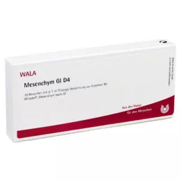 MESENCHYM GL D 4 Ampollas, 10X1 ml