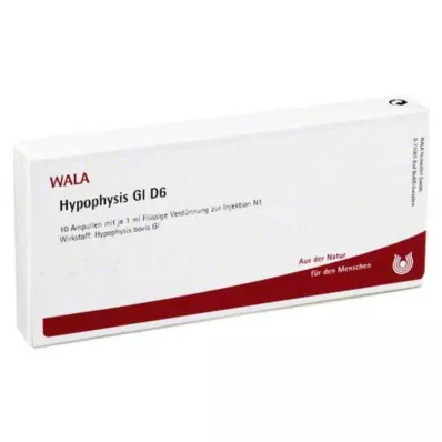HYPOPHYSIS GL D 6 Ampollas, 10X1 ml HYPOPHYSIS GL D 6 Ampollas, 10X1 ml