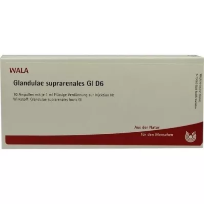 GLANDULAE SUPRARENALES GL D 6 Ampollas, 10X1 ml