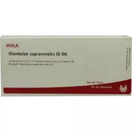 GLANDULAE SUPRARENALES GL D 6 Ampollas, 10X1 ml