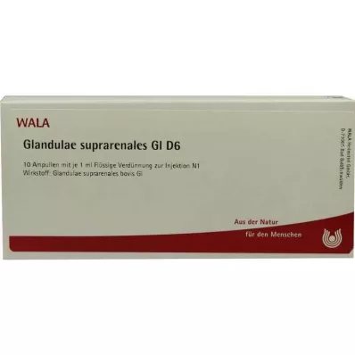 Glandulae suprarenalis GL D 6 ampollas, 10X1 ml