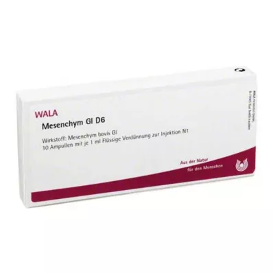 MESENCHYM GL D 6 Ampollas, 10X1 ml