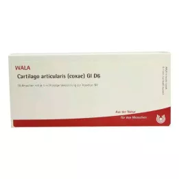 CARTILAGO articularis coxae GL D 6 ampollas, 10X1 ml