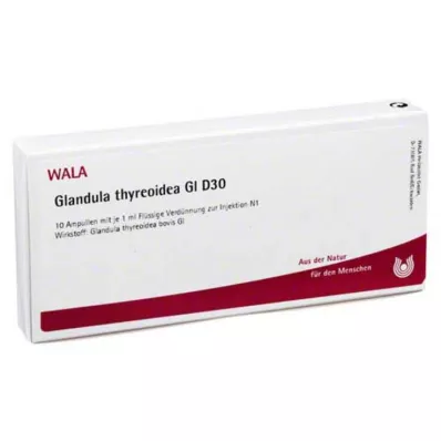 Glandula Thyreoidea GL D 30 ampollas, 10x1 ml Glandula Thyreoidea GL D 30 ampollas, 10x1 ml
