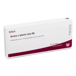 ARNICA E Planta tota D 6 Ampollas, 10X1 ml