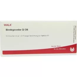 BINDEGEWEBE GL D 6 Ampollas, 10X1 ml