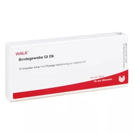 BINDEGEWEBE GL D 6 Ampollas, 10X1 ml