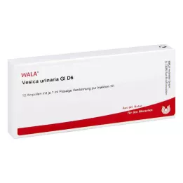 VESICA URINARIA GL D 6 Ampollas, 10X1 ml