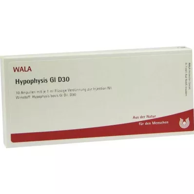 HYPOPHYSIS GL D 30 Ampollas, 10X1 ml HYPOPHYSIS GL D 30 Ampollas, 10X1 ml