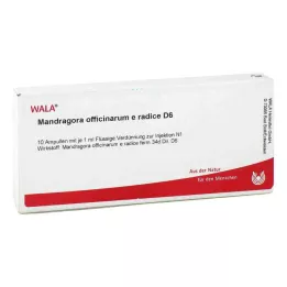 MANDRAGORA OFFICINARIUM e radice D 6 Ampollas, 10X1 ml