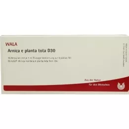 ARNICA E Planta tota D 30 Ampollas, 10X1 ml