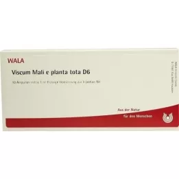 VISCUM MALI e planta tota D 6 Ampollas, 10X1 ml