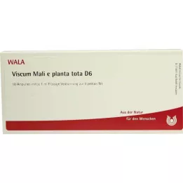 VISCUM MALI e planta tota D 6 Ampollas, 10X1 ml