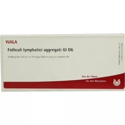 FOLLICULI LYMPHATICI aggregati GL D 6 ampollas, 10X1 ml