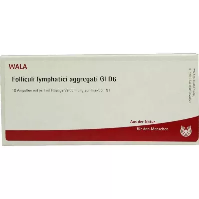 Folliculi Lymphatici Aggregati GL D 6 ampollas, 10x1 ml