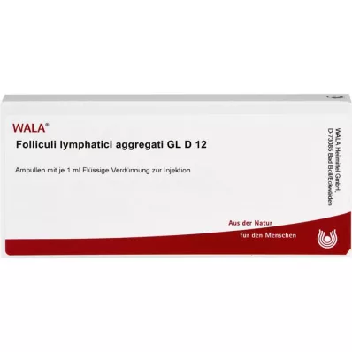 FOLLICULI LYMPHATICI aggregati GL D 12 ampollas, 10X1 ml