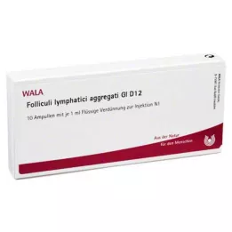 FOLLICULI LYMPHATICI aggregati GL D 12 ampollas, 10X1 ml