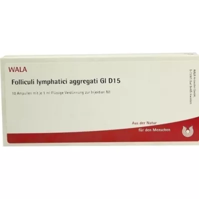 FOLLICULI LYMPHATICI aggregati GL D 15 ampollas, 10X1 ml