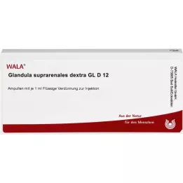 GLANDULA SUPRARENALES dextra GL D 12 ampollas, 10X1 ml