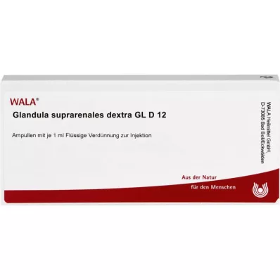 GLANDULA SUPRARENALES dextra GL D 12 ampollas, 10X1 ml